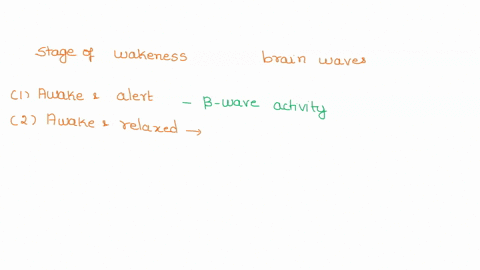 question-1-5-pts-match-the-stages-of-wakefulness-and-sleep-with-the-correct-brain-waves-and-brain-activity-that-occurs-during-this-stage-of-sleep-awake-and-alert-choose-delta-wave-activity-m-66443