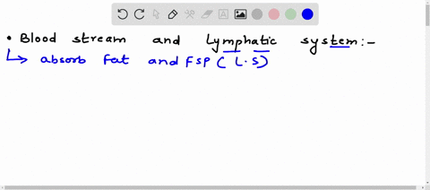comparing-the-role-of-the-bloodstream-and-the-lymphatic-system-in-digestion-and-absorption-group-of-answer-choices-1-fat-soluble-nutrients-are-first-absorbed-into-the-lymph-and-then-delivere-80908