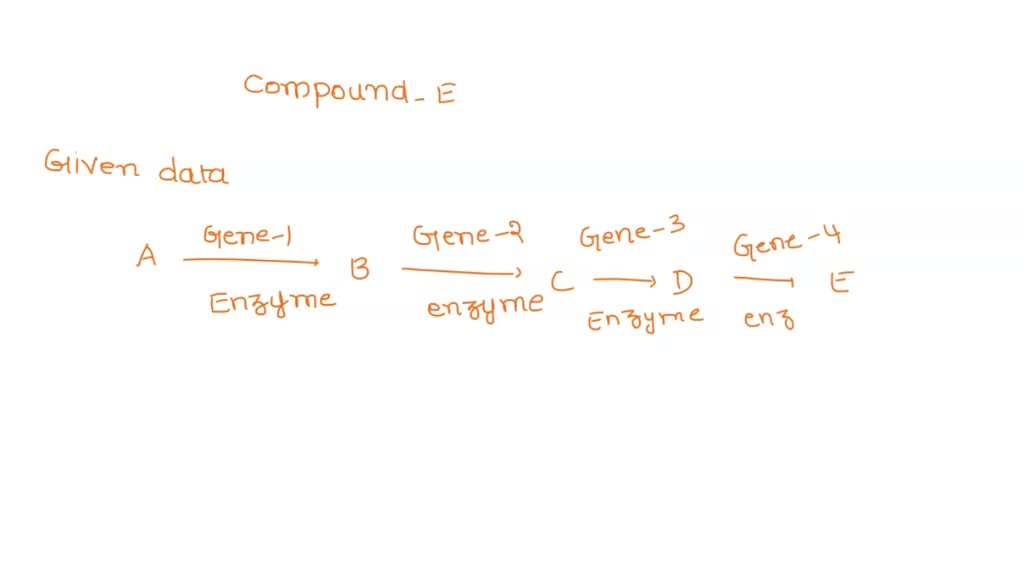 SOLVED A metabolic pathway producing compound 'E' is a stepwise
