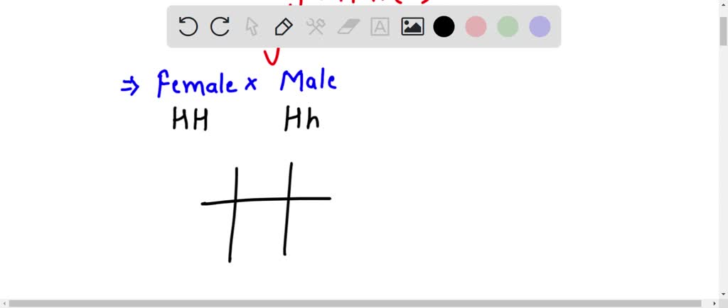 SOLVED BIOLOGY HELP In Horses The Allele For Straight Hair H Is solved-biology-help-in-horses-the-allele-for-straight-hair-h-is