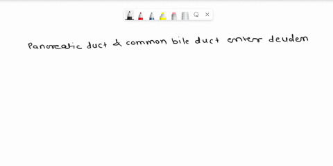xyour-answer-is-incorrect-how-are-the-liver-and-gallbladder-connected-to-the-duodenum-o-they-secrete-bile-into-the-duodenum-o-they-both-surrounds-the-duodenum-and-attach-to-it-via-connective-03139