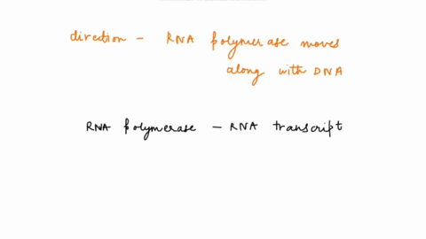 question-28-1-point-rna-polymerase-moves-in-which-direction-along-the-dna-a-3-_-5-along-the-coding-strand-b-5-_-3-along-the-template-strand-c-5-3-along-the-double-stranded-dna-d-3-_-5-along-69667