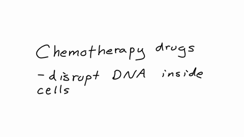 most-chemotherapy-drugs-are-effective-because-they-a-increase-protein-production-b-increase-the-immune-system-response-needed-to-fight-cancer-c-kill-only-cancer-cells-without-affecting-healthy-cells-d