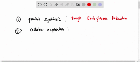 match-the-following-cellular-organelle-to-its-function-mitochondria-_____-1-site-of-protein-synthesis-phospholipid-bilayer-_____-2-site-of-cellular-respiration-intra-membrane-protein-_____-3-14698