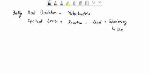 describe-the-processes-by-which-fatty-acids-are-transported-in-the-blood-activated-and-transported-into-the-matrix-of-the-mitochondria-for-breakdown-to-obtain-energy-specifically-determine-t-00063