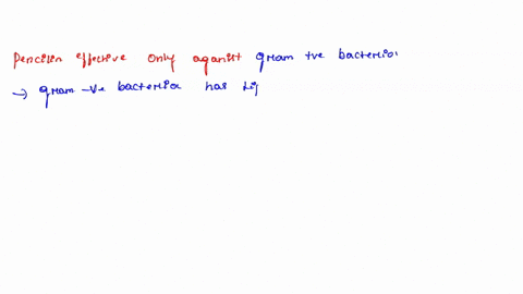gram-structure-and-antibiotic-spectrum-negative-penicillin-targets-the-bacterial-cell-wall-making-effective-against-gram-organisms_-narrow-spectrum-amoxicillin-semisynthetic-variant-is-effec-53442