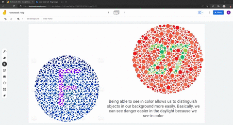 what-might-be-one-of-the-evolutionary-reasons-that-humans-can-see-color-seeing-color-takes-away-unnecessary-information-from-entering-the-brain-thus-allowing-the-brain-to-process-vital-information-qui