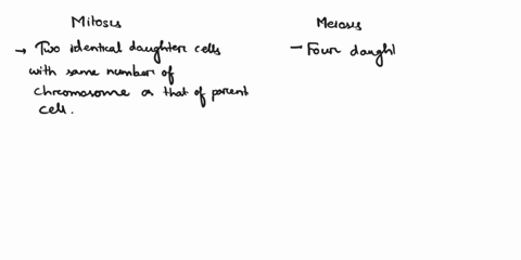 explain-how-mitosis-and-meiosis-are-different-41153