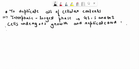 which-statement-best-describes-the-overall-functionpurpose-of-interphase-hint-cell-cycle-2ndlnterphase-video-textbook-chapter-10-section-102-to-divide-parent-cell-into-two-identicaldauzhter-32112