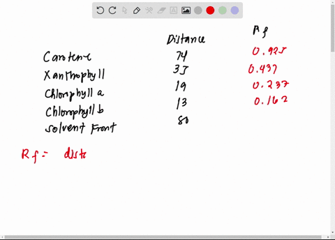 student-activity-chromatography-separation-of-photopigments-from-spinach-extract-objectives-measure-the-distance-the-different-photosynthetic-pigments-have-moved-from-the-origin-mm-are-measu-72793
