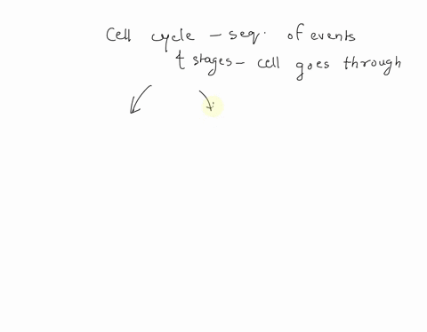 which-of-these-are-the-two-major-phases-of-the-eukaryotic-cell-cycle-interphase-and-m-phase-also-called-mitotic-phase-g-phase-and-phase-interphase-and-mitosis-mitosis-and-cytokinesis-98723