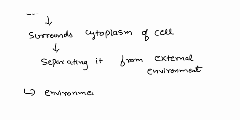 for-a-microorganism-to-live-it-must-metabolize-why-is-its-cell-membrane-crucial-for-metabolism-68313
