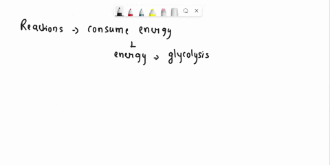 conside-eactions-that-make-up-the-pathwav-elycolysis-tnete-reactions-that-consume-energy-and-that-produce-energy-name-one-enayme-that-clalyie-enerey-consuming-reaction-name-one-enzyme-that-c-61582