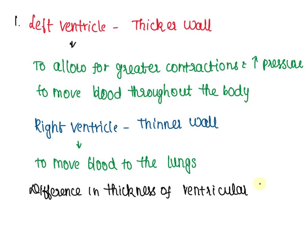 SOLVED 478 What is the functional significance of the difference in
