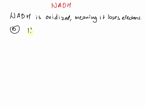 which-statement-best-describes-what-happens-during-the-redox-reaction-between-nadh-and-complex-i-of-the-electron-transport-chainanadh-is-oxidized-by-fadh2-which-is-then-immediately-oxidized-55886