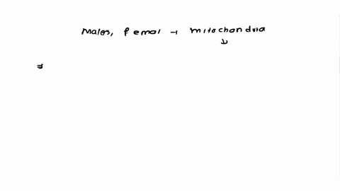 which-line-best-foreshadows-that-the-young-man-will-end-up-in-solitary-confinement-04797