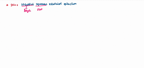 the-epidermis-provides-a-physical-barrier-due-largely-to-the-presence-of-a-melanin-b-carotene-c-coll-93771