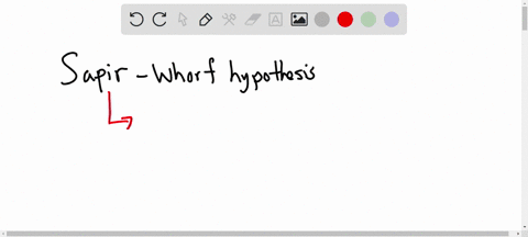 the-sapir-whorf-hypothesis-in-its-modern-day-form-proposes-that-a-language-is-non-verbal-and-leads-to-relativity-b-language-affects-thought-c-language-is-a-deductive-tool-involved-in-perspec-72603