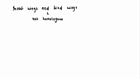 wings-of-insects-and-wings-of-birds-are-homologous-organs-it-is-true-or-false-71587