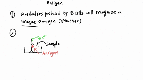 a-what-basic-principles-of-antibody-mediated-immunity-are-utilized-in-an-elisa-assay-b-how-does-an-elisa-indirectly-detect-infection-by-a-disease-causing-agent-c-what-is-the-function-of-the-secondary