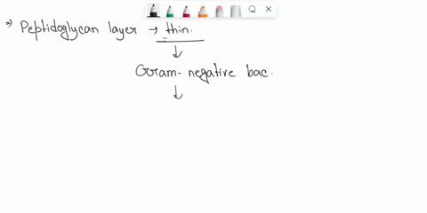 identify-what-the-following-image-refers-gram-positive-bacteria-or-gram-negative-bacteria-outer-peptidoglycan-membrane-periplasm-cytoplasmic-membrane-gram-positivve-bacteria-gram-negative-ba-75094