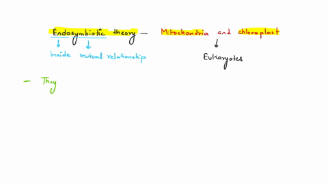 which-of-the-following-is-not-evidence-to-support-the-endosymbiotic-origins-of-mitochondria-and-chloroplasts-hint-the-answer-could-be-a-false-statement-group-of-answer-choices-a-mitochondria-33919