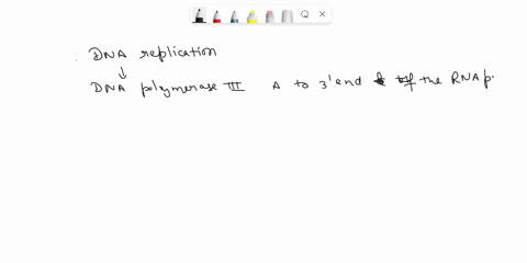 in-replication-dna-polymerase-iii-adds-nucleotides-a-to-the-3-end-of-the-rna-primer-b-to-the-5-end-of-the-rna-primer-c-in-the-place-of-the-primer-rna-after-it-is-removed-d-to-both-ends-of-th-58337