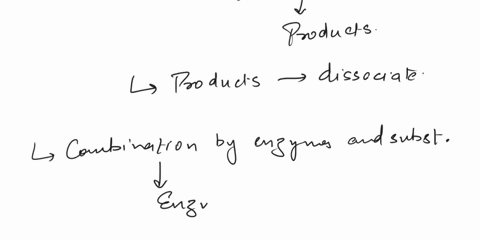 help-with-all-questions-what-is-the-fundamental-mechanism-by-which-enzymes-enhance-the-rate-of-reactions-is-there-a-difference-between-the-initial-and-the-final-energy-levels-in-catalyzed-an-76152