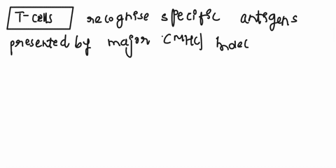 what-are-t-cell-and-b-cell-antigen-recognition-and-their-eventual-effector-responsibilities-such-as-cytotoxic-t-cells-and-humoral-immunity-via-plasma-cells-producing-antibodies-please-give-a-34917