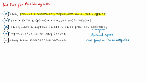 which-statement-is-not-true-of-the-basidiomycetes-a-they-produce-a-secondary-mycelium-with-nn-hyphae-56867
