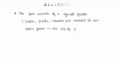 write-true-or-false-correct-the-false-statements-1-the-four-whorls-of-a-typical-flower-arise-from-the-tip-of-the-pedicel-2-anther-style-and-stigma-are-the-parts-of-a-carpel-3-a-stamen-has-a-02816