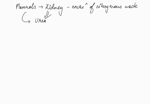 16-we-get-rid-of-any-nitrogen-that-is-in-excess-of-our-body-growth-requirements-give-an-example-of-how-mammals-get-rid-of-the-excess-of-nitrogen-what-is-the-metabolic-pathway-from-which-this-88787