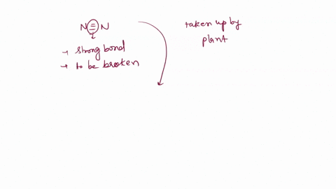 which-of-the-following-is-a-way-that-nitrogen-atoms-move-from-a-nonliving-part-of-the-environment-into-a-living-part-of-the-environment-61917