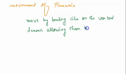 how-would-you-describe-the-movement-of-planaria-is-this-pattern-of-movement-sufficient-for-the-habitat-it-lives-in-and-how-is-it-related-to-its-being-an-acoelomate-76318