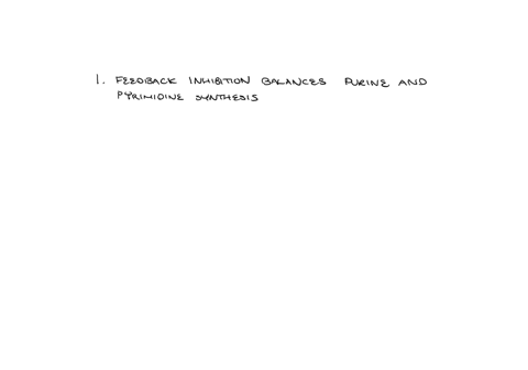 what-are-the-mechanisms-that-ensure-equal-proportions-of-purines-pyrimidines-and-dntps-are-available