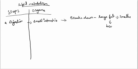 please-help-i-need-help-with-these-4-questions-0ase-help-answev-wyesmouli-describe-the-major-steps-and-organs-involved-in-lipid-metabolism-describe-ketogenesis-and-the-role-that-ketone-bodie-71042