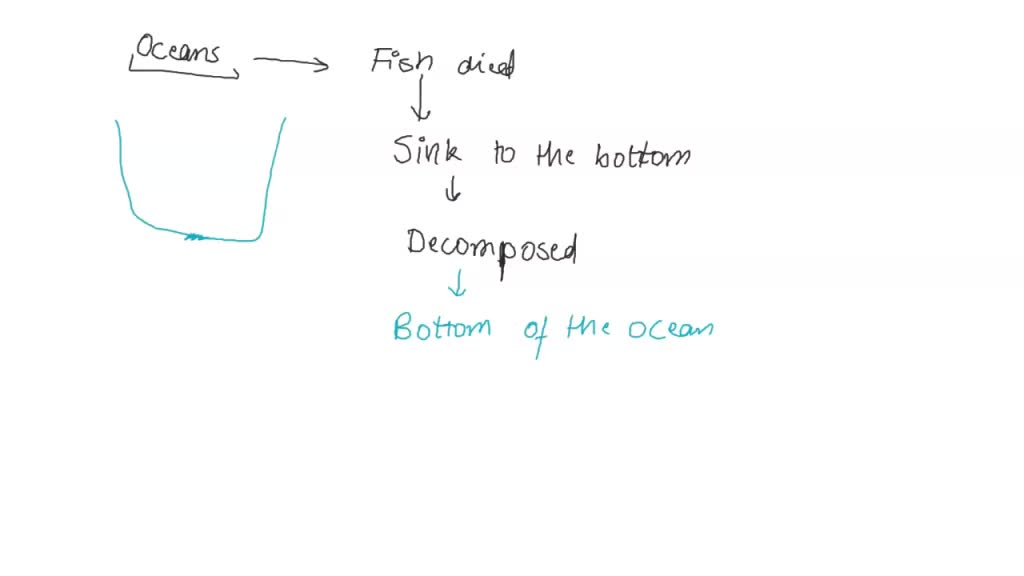 SOLVED The Peruvian anchovy fishery occurs a highly productive region
