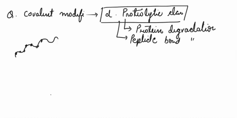 enzyme-activity-can-be-regulated-by-covalently-modifying-the-structure-of-the-enzyme-protein-which-of-the-following-types-of-covalent-modification-is-irreversible-phosphorylation-acetylation-31735
