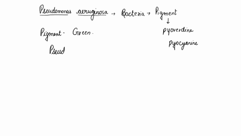 scenario-sara-is-22-and-has-cystic-fibrosis-a-genetic-disorder-that-develops-when-a-person-inherits-two-copies-of-a-defective-gene-for-cystic-fibrosis-transmembrane-conductance-regulator-cft-91443