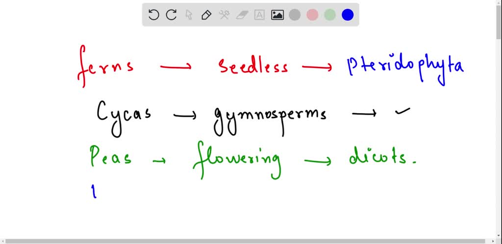 SOLVED: entity hmbers and creepers Worksheet (The Herbs shrubs trees SOLVED: entity hmbers and creepers Worksheet (The Herbs shrubs trees