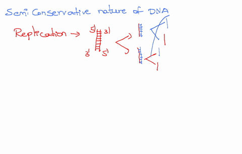 50-points-for-this-q-dna-rna-replication-transcript-https-gcpsdesirezlearn-com-d2vlecontent1735558viewcontent29285791-nview-dna-rna-replication-transcription-and-translation-quiz-esl-length-29886