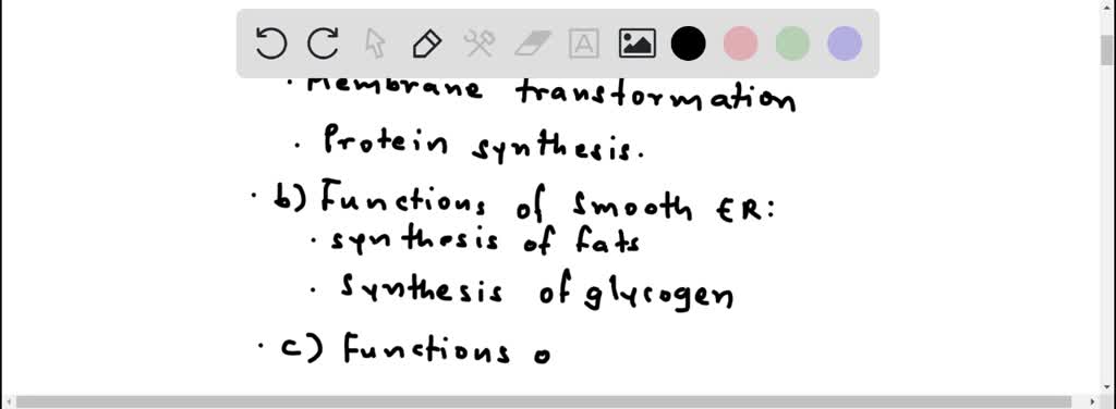 SOLVED: 5. What is the function of sterols in the cell membrane? 6 ...