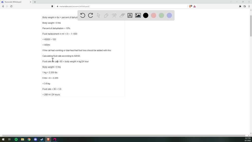 The purpose of each phase of fluid therapy for a female feline patient