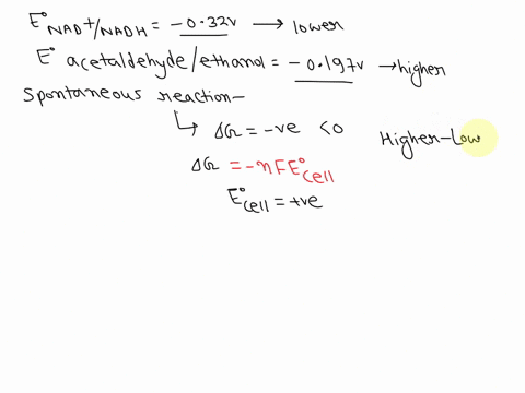 eo-of-the-nad-nadh-half-reaction-is-5-032-v-the-e-of-the-acetaldehyde-ethanol-half-reaction-is-0-197-v-for-a-redox-reaction-based-on-two-redox-couples-the-spontaneous-net-reaction-reaction-i-13504