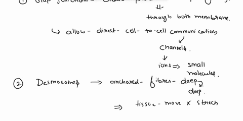 classify-each-junction-between-adjacent-cells-as-found-in-animal-cells-or-found-in-plant-cells-found-in-animal-cells-found-in-plant-cells-answer-bank-gap-junctions-that-create-protein-lined-30698