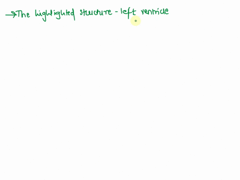 which-structure-is-this-klab-exercisethe-heart-pal-models-cardiovascular-system-heart-lab-practical-question-11-identify-the-highlighted-structure-52912