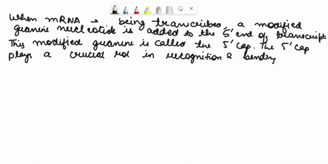 hich-of-the-following-is-involved-in-the-recognition-of-mrna-by-ribotomes-iselect-cne-a-polyadenylation-signal-sequence-added-to-the-trangcript_-lstring-of-guanine-nucleotides-added-to-the-3-89566