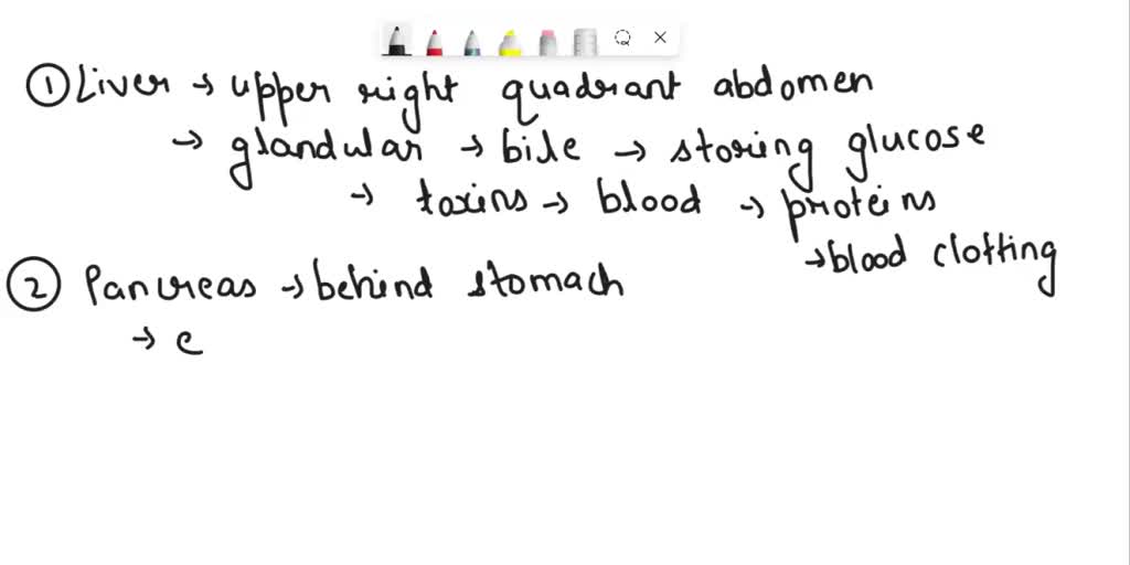 SOLVED Describe the location and function of the 3 main accessory organs