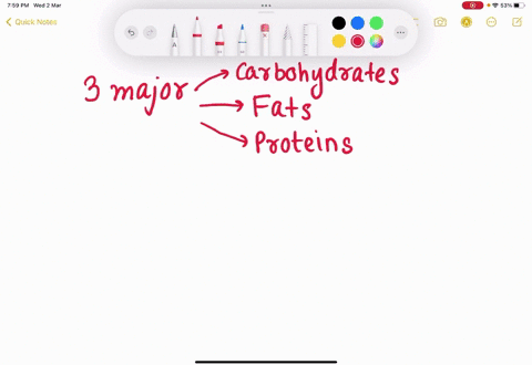 14_-humans-derive-most-of-their-energy-from-fats-b-muscle_-c-proteins_-d-nucleotides-carbohydrates-15-when-blood-glucose-levels-decrease-as-between-meals-what-reserves-are-tapped-first-glyco-88347