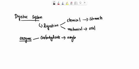 which-of-the-following-glandular-secretions-involved-in-digestion-would-be-most-likely-to-be-released-initially-as-inactive-precursors-a-protein-digesting-enzymes-bcarbohydrate-digesting-enz-60041